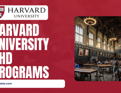 harvard phd programs